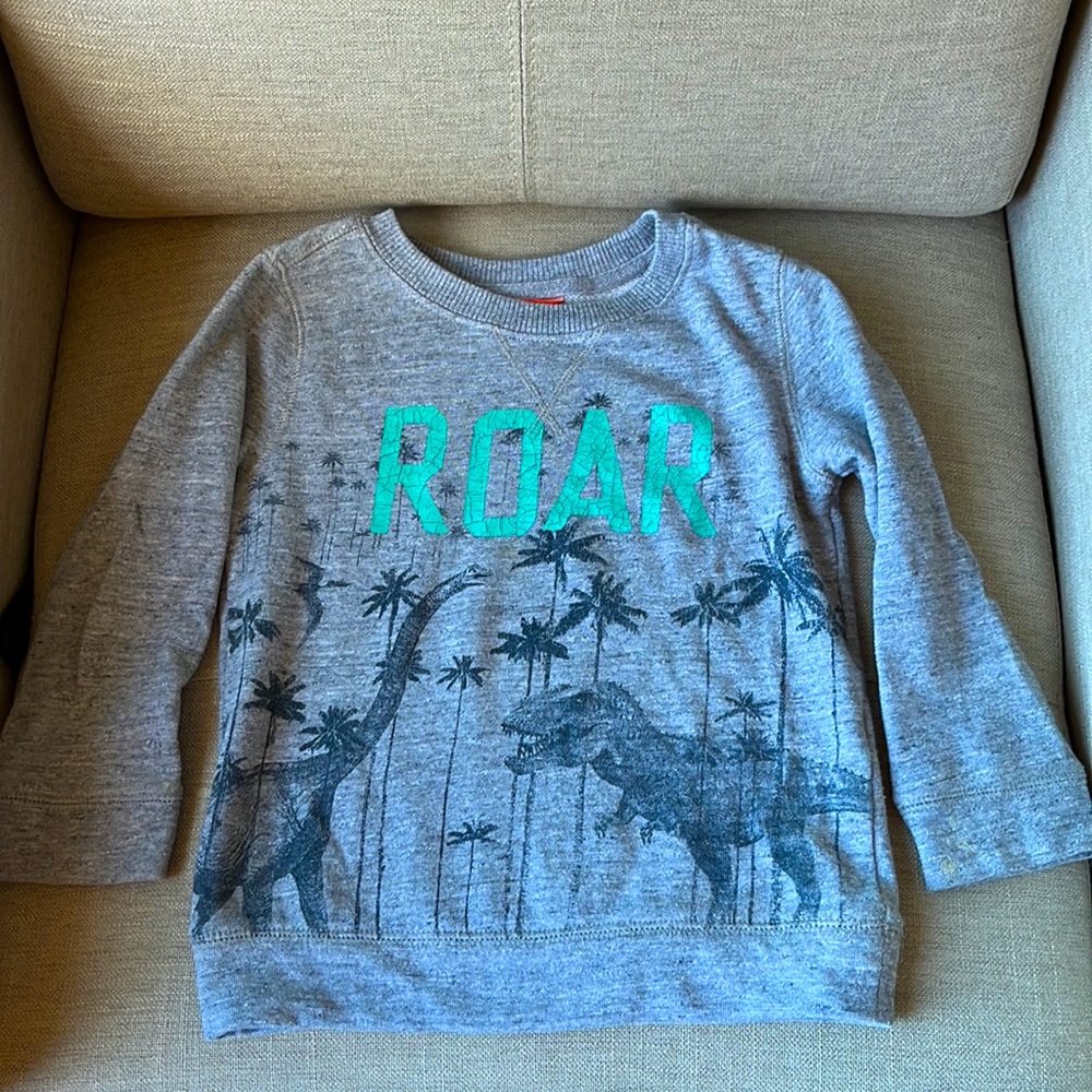 Joe Fresh Roar Sweatshirt size 4